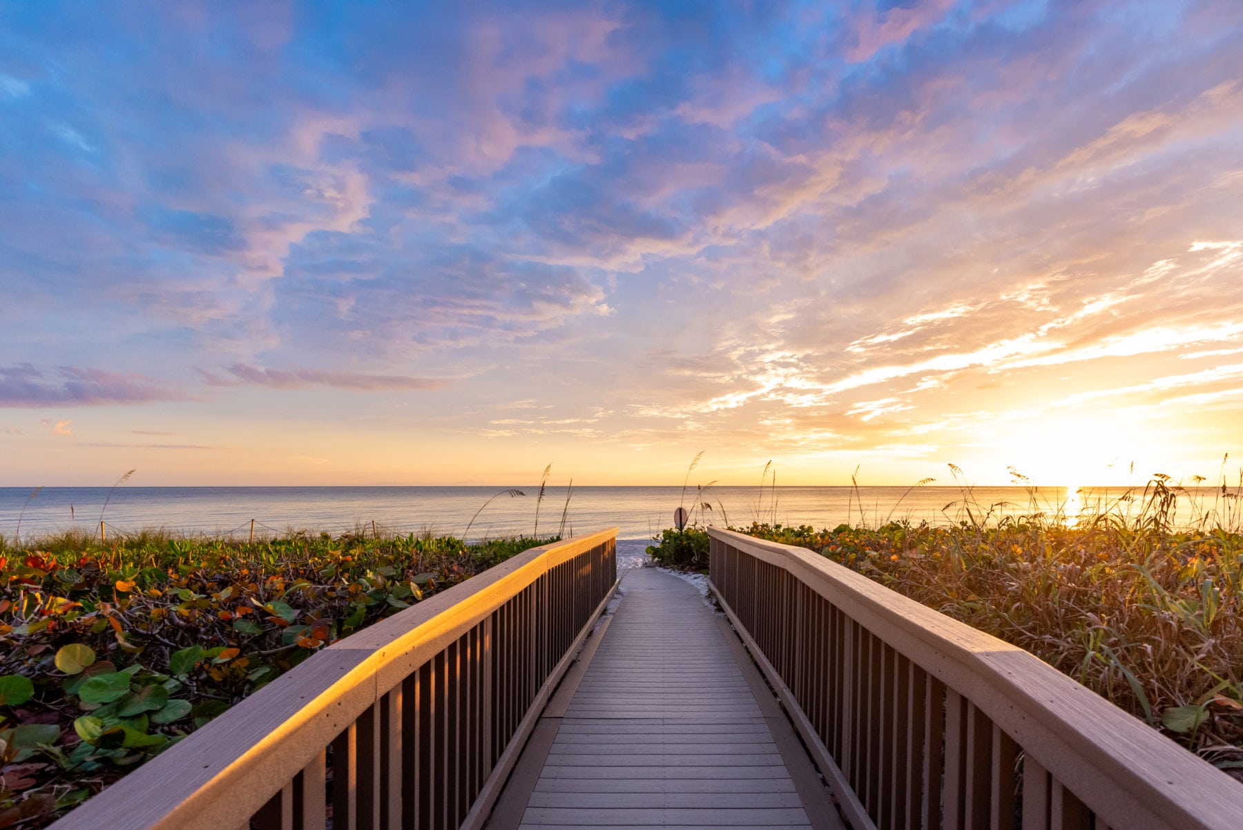 My Area Media beach-boardwalk stock photo from Southwest Florida